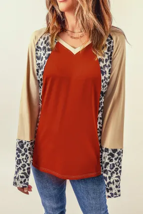 Brown Colorblock Leopard V Neck Long Sleeve Top