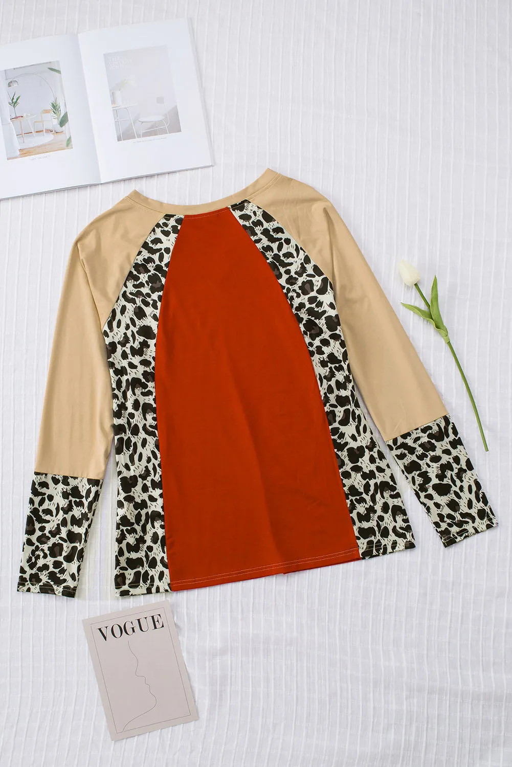 Brown Colorblock Leopard V Neck Long Sleeve Top