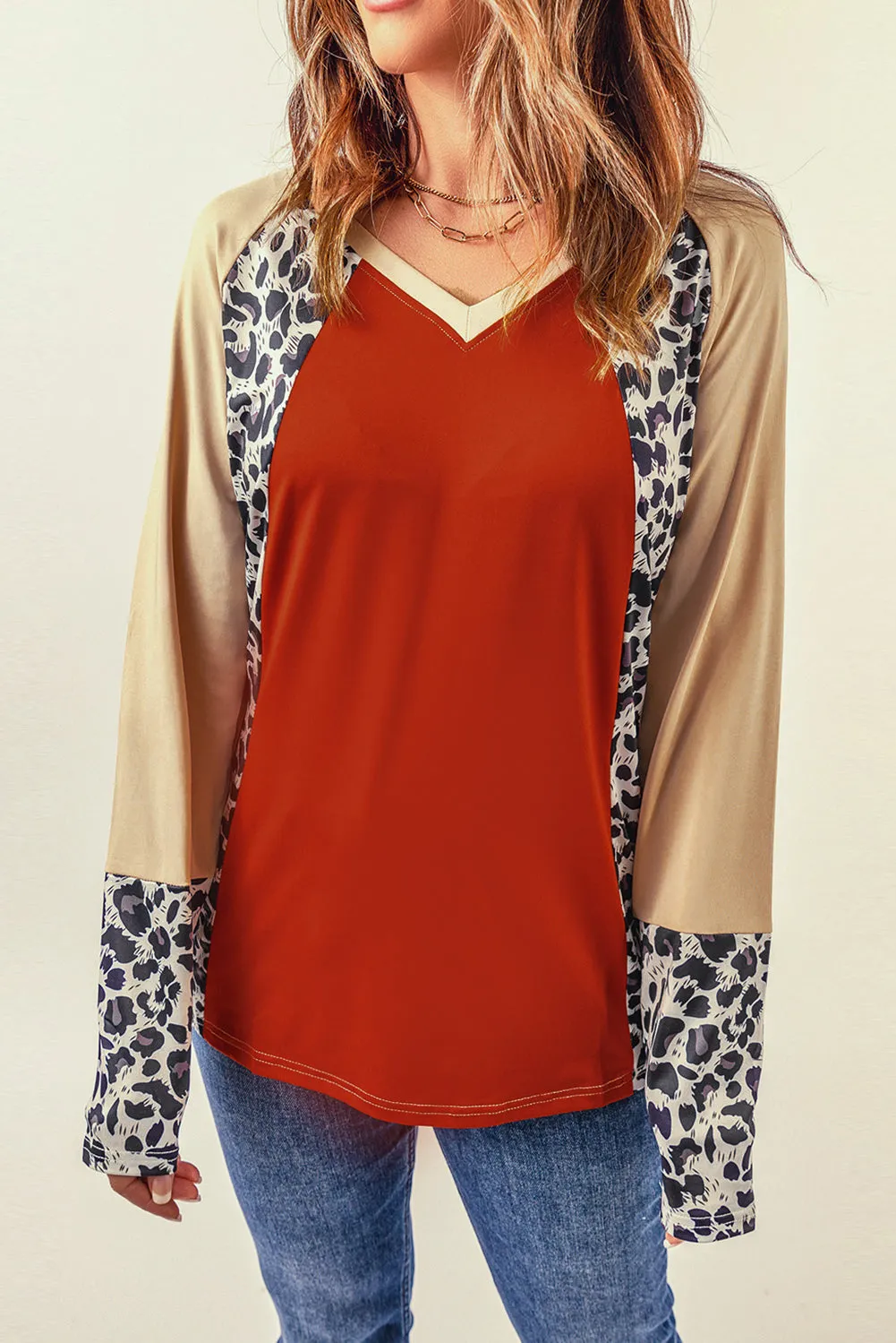 Brown Colorblock Leopard V Neck Long Sleeve Top