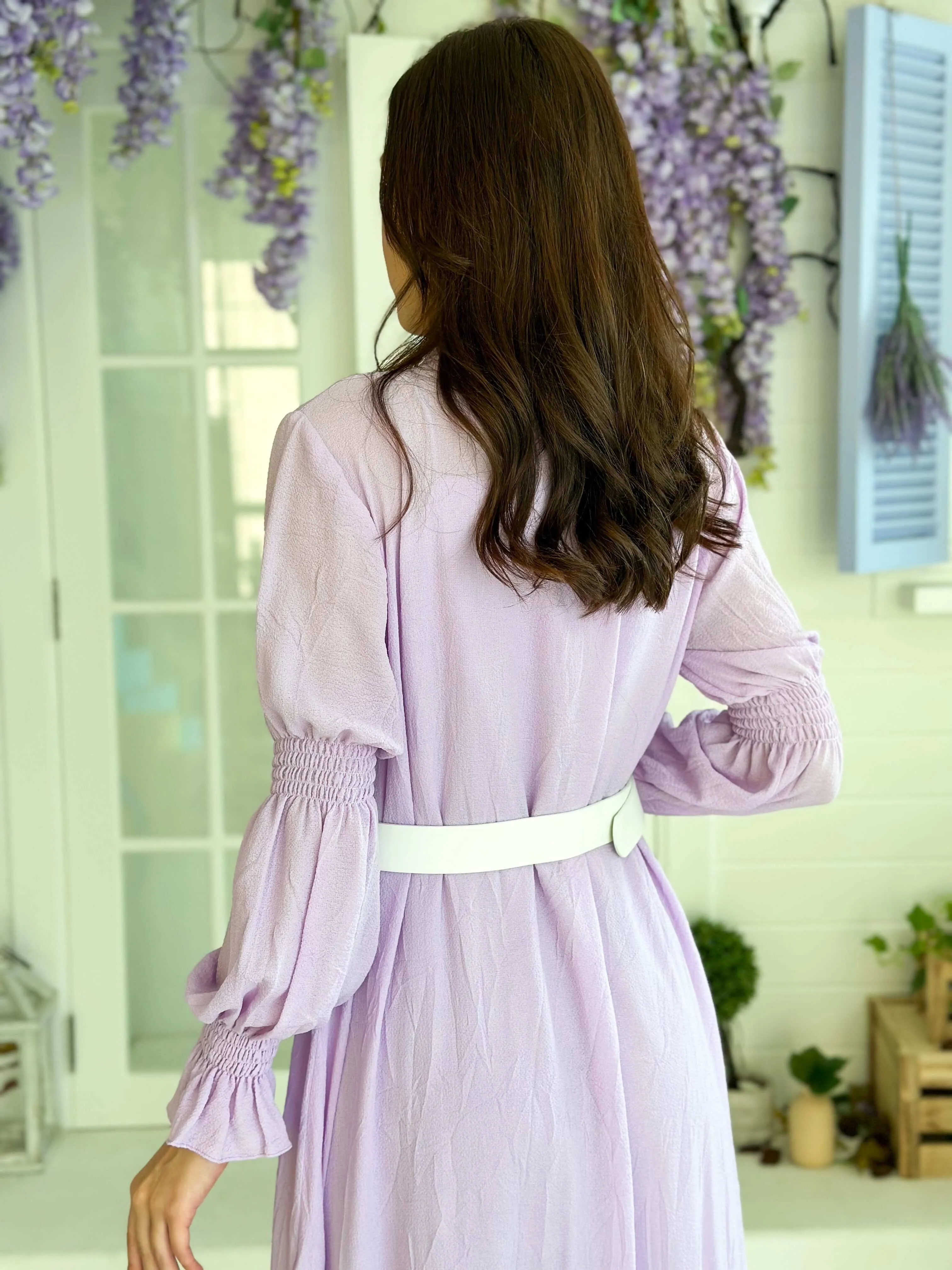 Miso Button Down Belted Dress