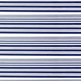 Variation Stripe Printed Spandex | Blue Moon Fabrics